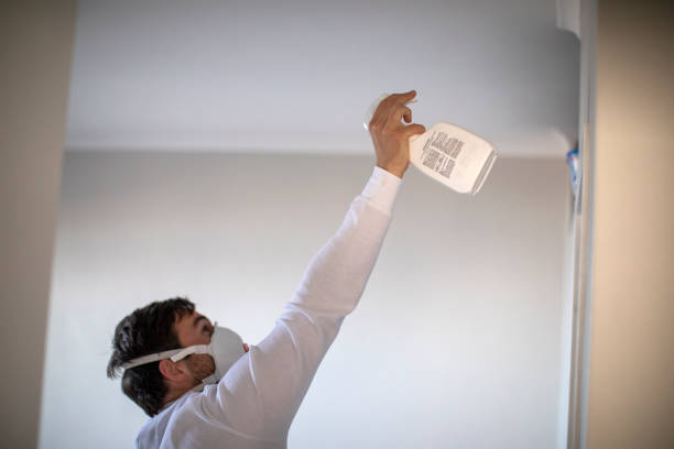 Best Certified Mold Removal  in Warsaw, NC